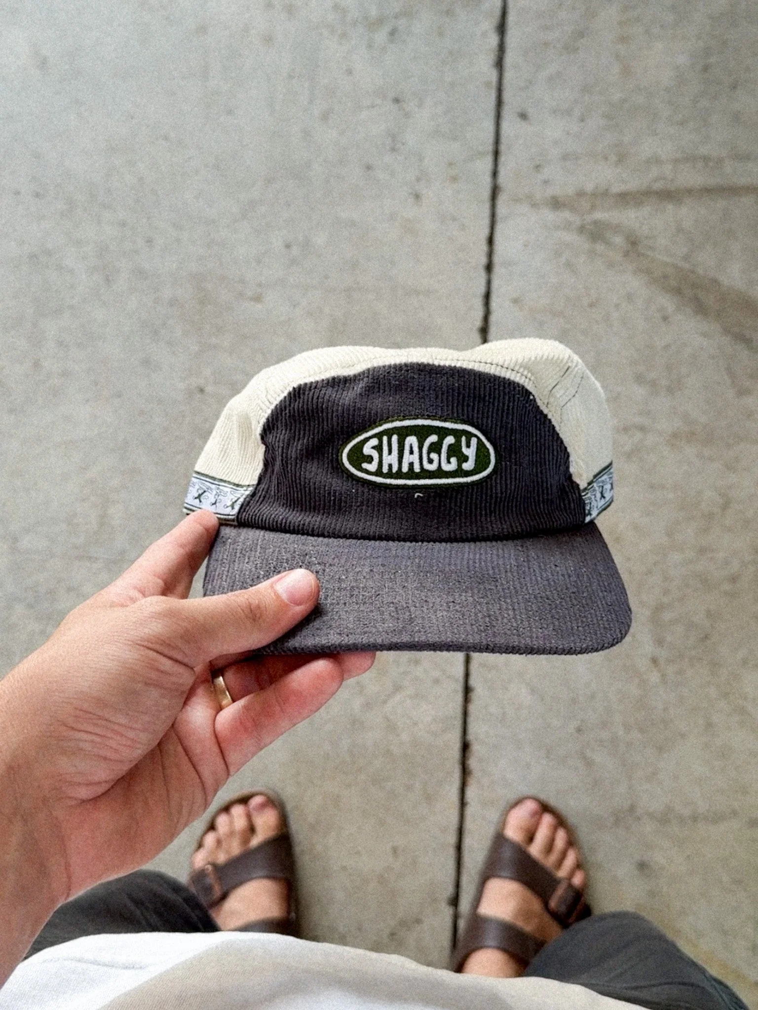 STRAY 5 PANEL - Image 2